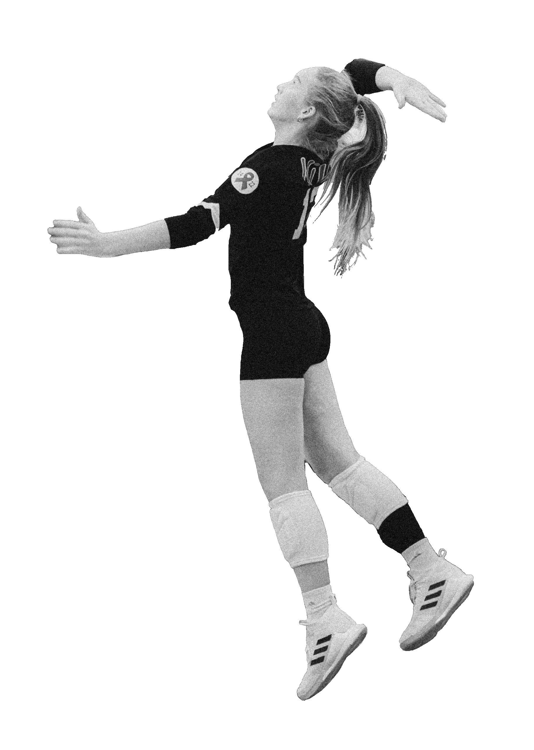 Volleyball_Cutout